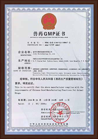 China GMP